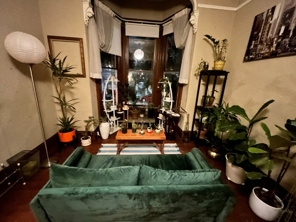 Living room with bay window and plants