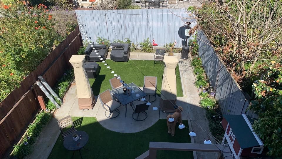 Backyard with dog and garden