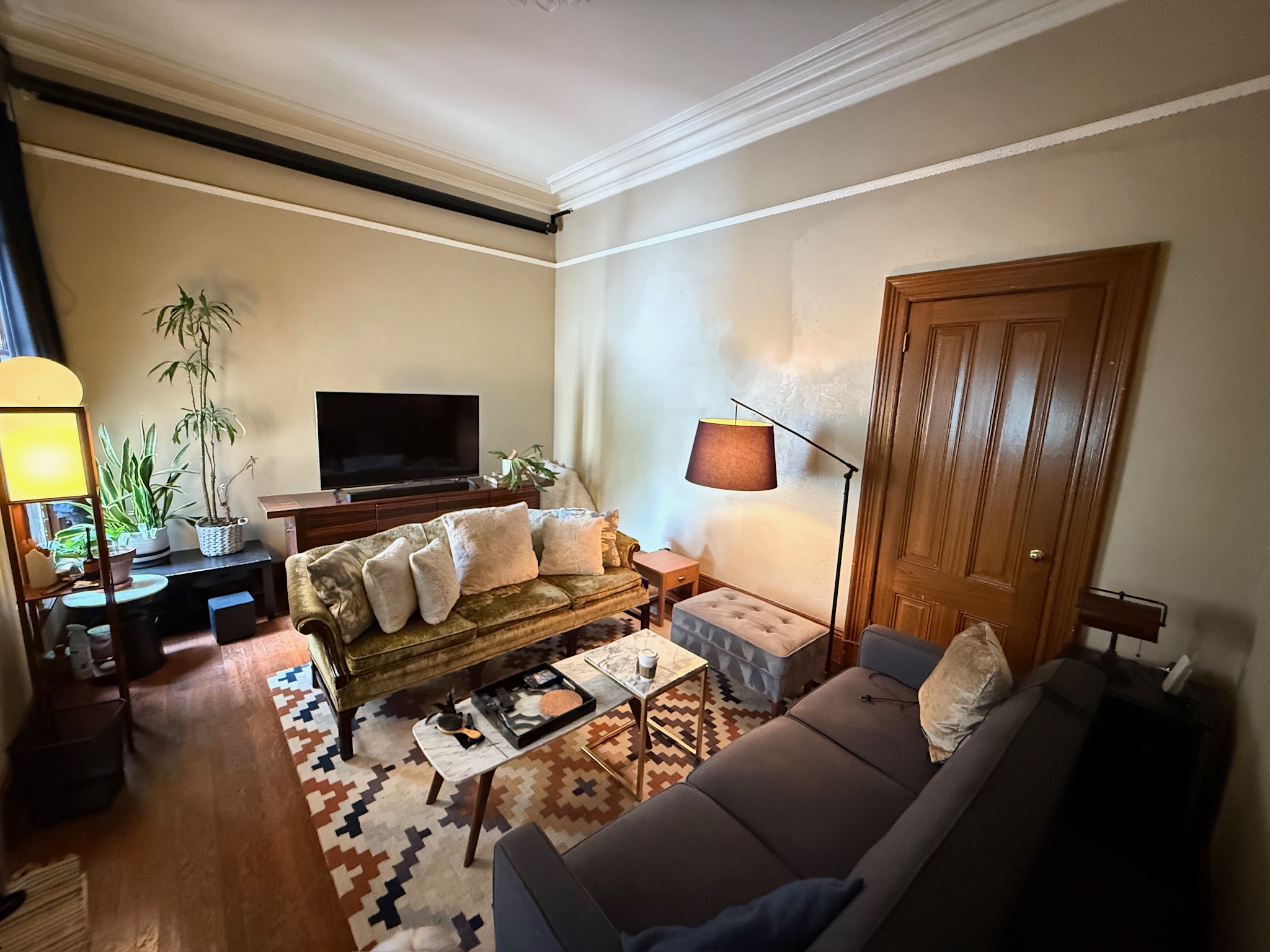 Living room with vintage and modern furniture