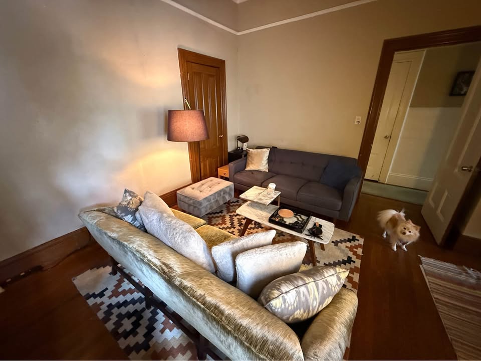 Living room with cozy sofas